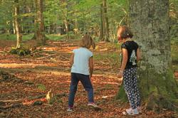 Altersgerechte Trauerwanderungen bietet der Nationalpark in Kooperation mit dem Hospizverein Freyung-Grafenau an. (Foto: Nationalpark Bayerischer Wald)j.