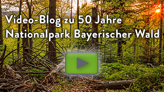 YouTube-Platzhalterbild