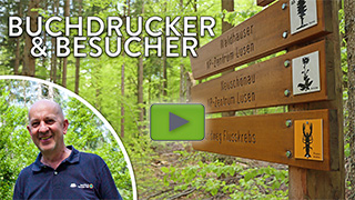 Vorschaubild für das Youtube-video zu den Buchdrucker-Hinweisen für Nationalpark-Besucher