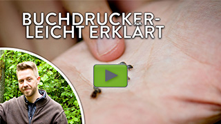 Vorschaubild für das Youtube-video zu den Buchdrucker-Infos für Kinder