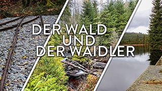 Bild-Collage aus drei Bildern mit Waldbahn-Gleisen, Waldwildnis und Reschbachklause