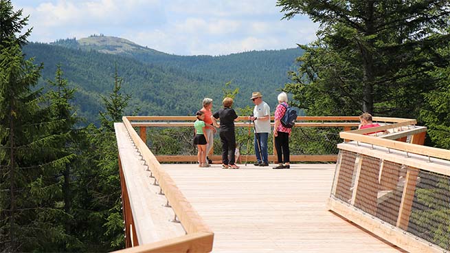 Von der Aussichtsplattform am Wistelberg hat man den Lusen im Blick