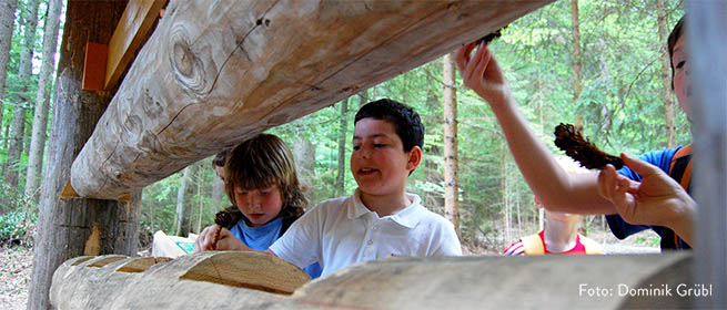 Andernorts verstecken sich interessante Naturmatialien in den Holzinstallationen.