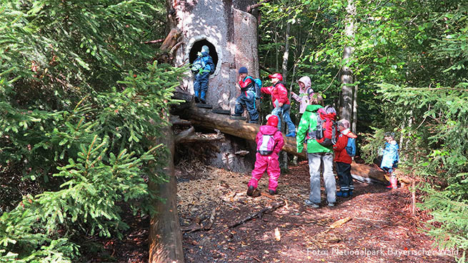 Kindergeburtstage bieten wir etwa im Waldspielgelände bei Spiegelau an.