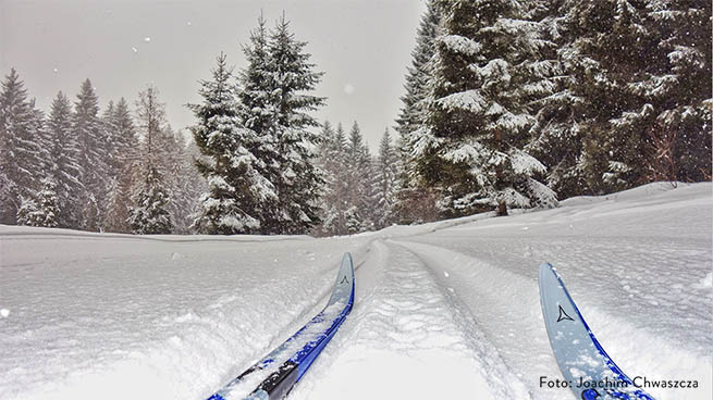 Der Nationalpark ist im Winter von einem gut gepflegtem Loipennetz durchzogen.