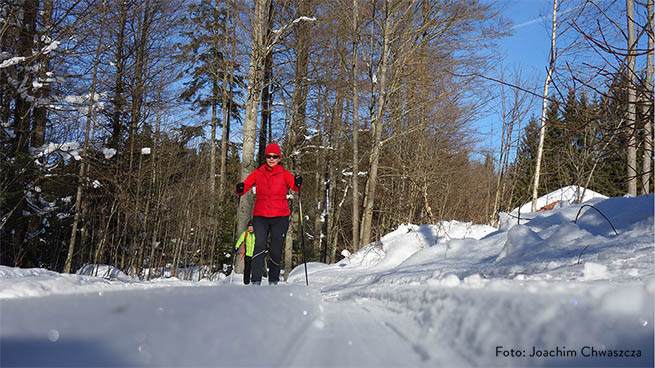 The adjacent communities maintain the cross-country ski trails.