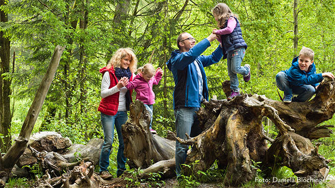 It is wild nature itself that mostly provides the best playgrounds