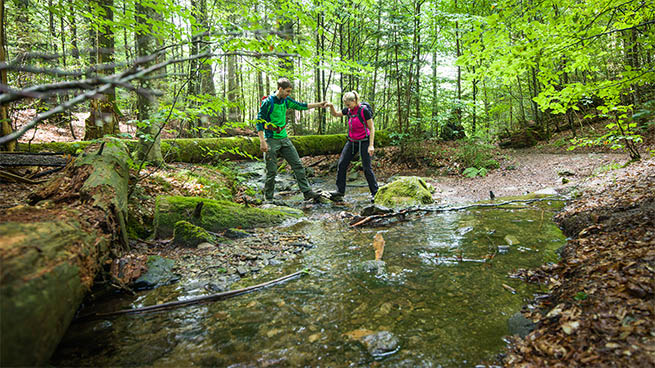 Wanderungen durch die wilde Natur faszinieren zu jeder Jahreszeit.