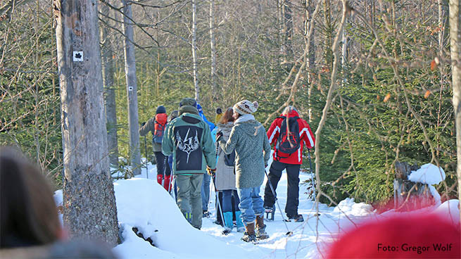 The national park offers many guided snowshoe tours in winter.