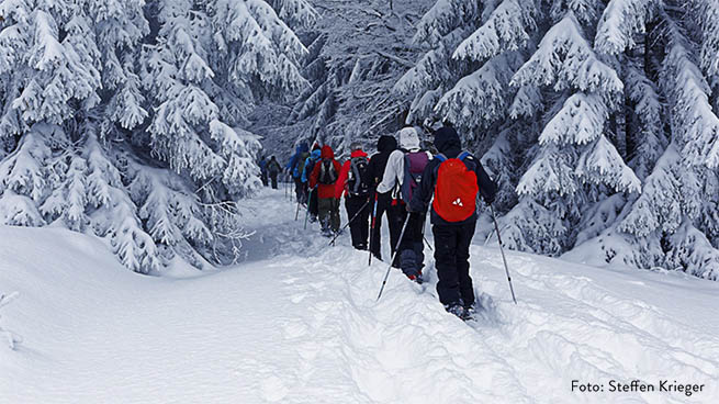 The wintery national park can be explored on snowshoes quite well.