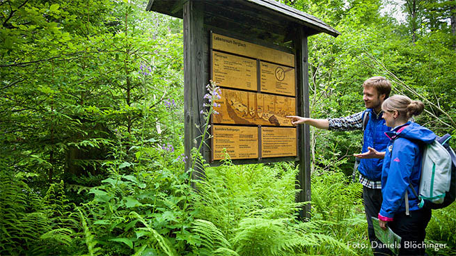 Crafted wooden information panels provide interesting facts in many places.