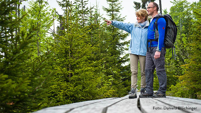 Andernorts führen Bohlenstege durch besonders sensible Gebiete wie Moore oder Auwälder.