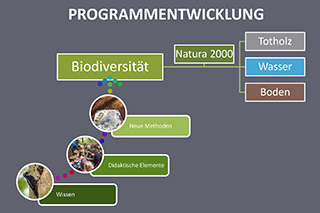 Programmentwicklung des Interreg-Projekts Grenzüberschreitende Umweltbildungsarbeit im oberösterreichisch-bayerischen Böhmerwald