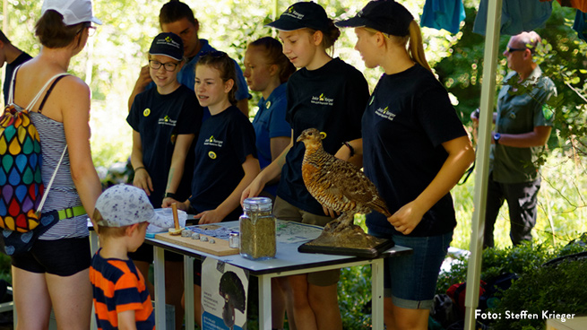 Erfahrende Junior Ranger geben Besucher auch an Infoständen Einblicke in ihren Wald. 