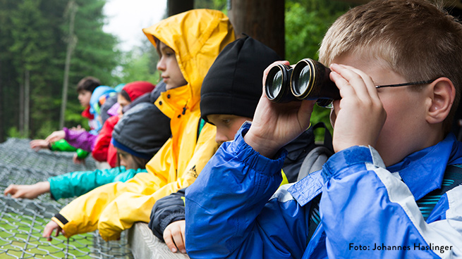 Augen auf beim Nationalpark-Erlebnis - etwa in unseren Tier-Freigeländen