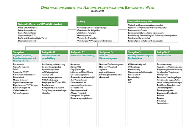 Organigramm der Nationalparkverwaltung Bayerischer Wald