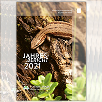 Jahresbericht 2021