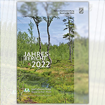 Jahresbericht 2022