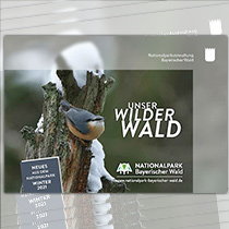 Titelbild Unser Wilder Wald 2021/1