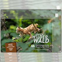 Titelbild Unser Wilder Wald 2025/2 - Hauptmotiv ist ein Luchskätzchen