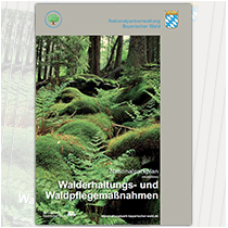 Nationalparkplan Walderhaltungs- und Waldpflegemaßnahmen