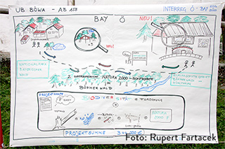 Projekt-Fahrplan zum Interreg-Projekt Grenzüberschreitende Umweltbildungsarbeit im oberösterreichisch-bayerischen Böhmerwald