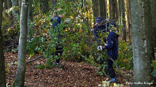 Junior Ranger engagieren sich bei vielen Projekten, etwa der Schachtenpflege.