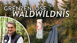 Franz Leibl über die grenzenlose Waldwildnis