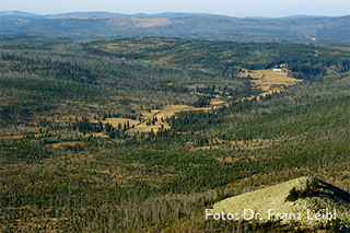 Blick vom Lusen nach Šumava – grenzübergreifendes Biodiversitätsmonitoring