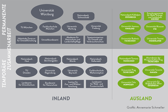 Diagramm der Forschungsvernetzung