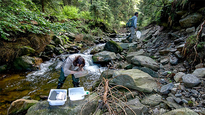 Research in the National Park analyzes, for example, the structure of individual habitats.