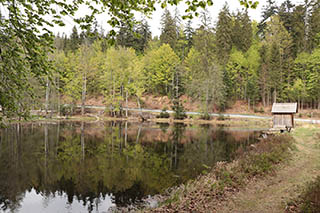 Knottenbachklause bei Altschönau