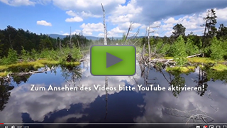 Das Video zum Lif+ Projekt kann erst nach Aktivierung von YouTube angesehen werden