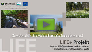 Das Video zum Lif+ Projekt kann erst nach Aktivierung von YouTube angesehen werden
