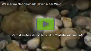Das Video zum Lif+ Projekt kann erst nach Aktivierung von YouTube angesehen werden