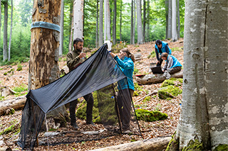 Forschende Untersuchen im Wald aufgestelle Insektenfallen.