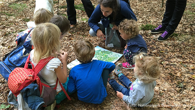 Gemeinsam mit Nationalpark-Pädagogen und erfahrenen Waldführern können Kindergarten-Gruppen die wilde Natur des Bayerischen Waldes entdecken.