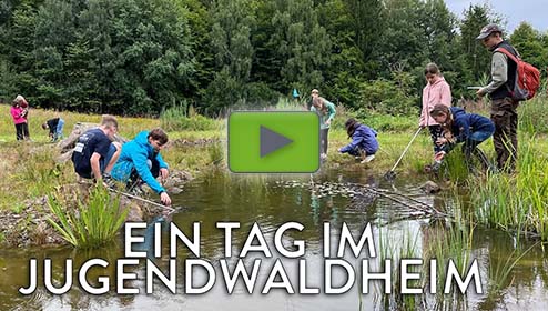 Ein Gruppe von Kindern und ein Betreuer stehen um einen Teich