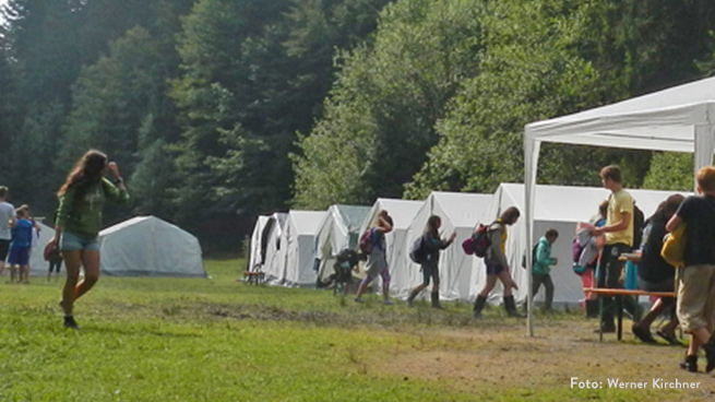 Der Jugendzeltplatz bei Forstwald liegt direkt im Nationalpark-Wald.