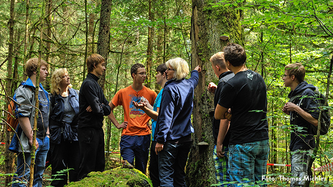 Pädagogisch geschulte Waldführer begleiten Schüler in den wilden Wald.