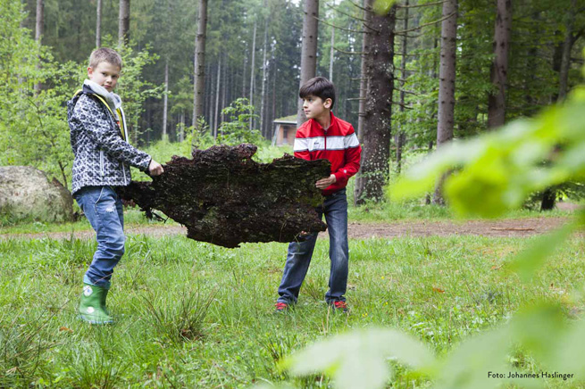 Zu dem Programmpunkten  zählt immer auch das selbstständige Wald-Erkunden.