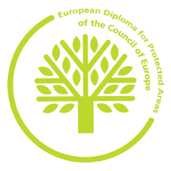 Logo zum Europadiplom