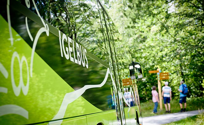 >Alle Infos zur Igelbus-Saison