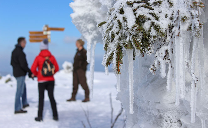 >Bild von Winterwanderern auf dem Lusengipfel