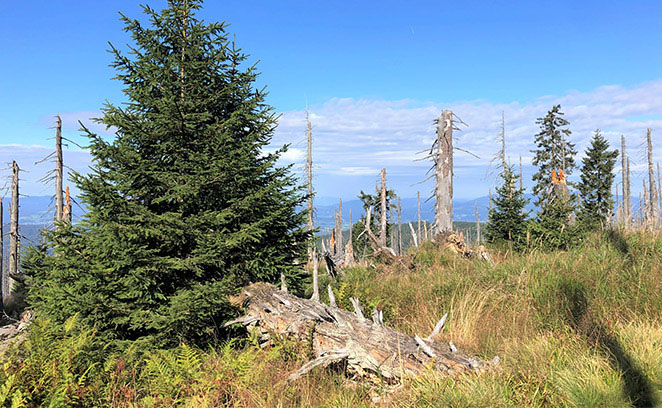 >Sommerliche Nationalpark-Hochlagen