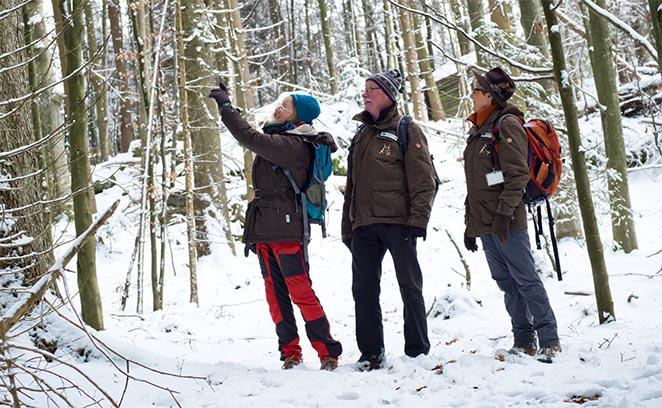 Waldführer im Winter