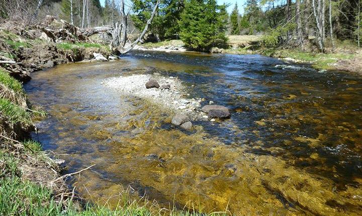 Facebook Post 10156721056927901