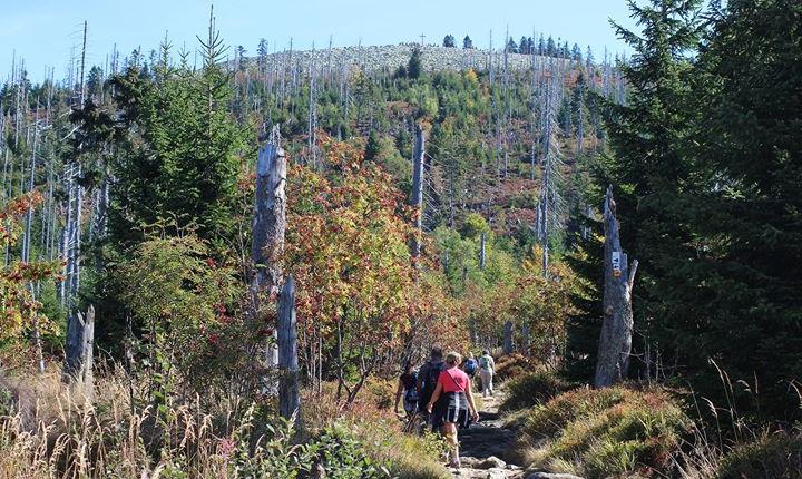 Facebook Post 10156738859317901