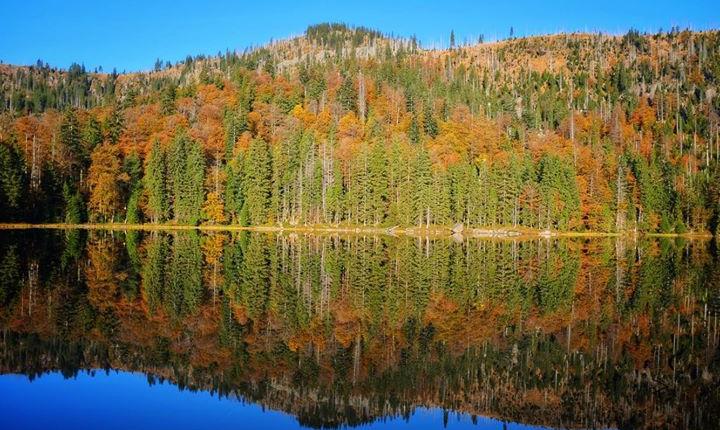 Facebook Post 10156753993727901