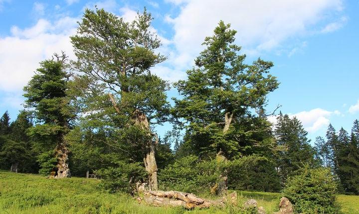 Facebook Post 10158311144737901